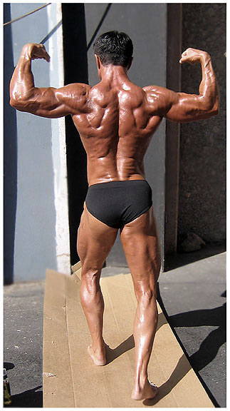 back double biceps photo - muscle pic